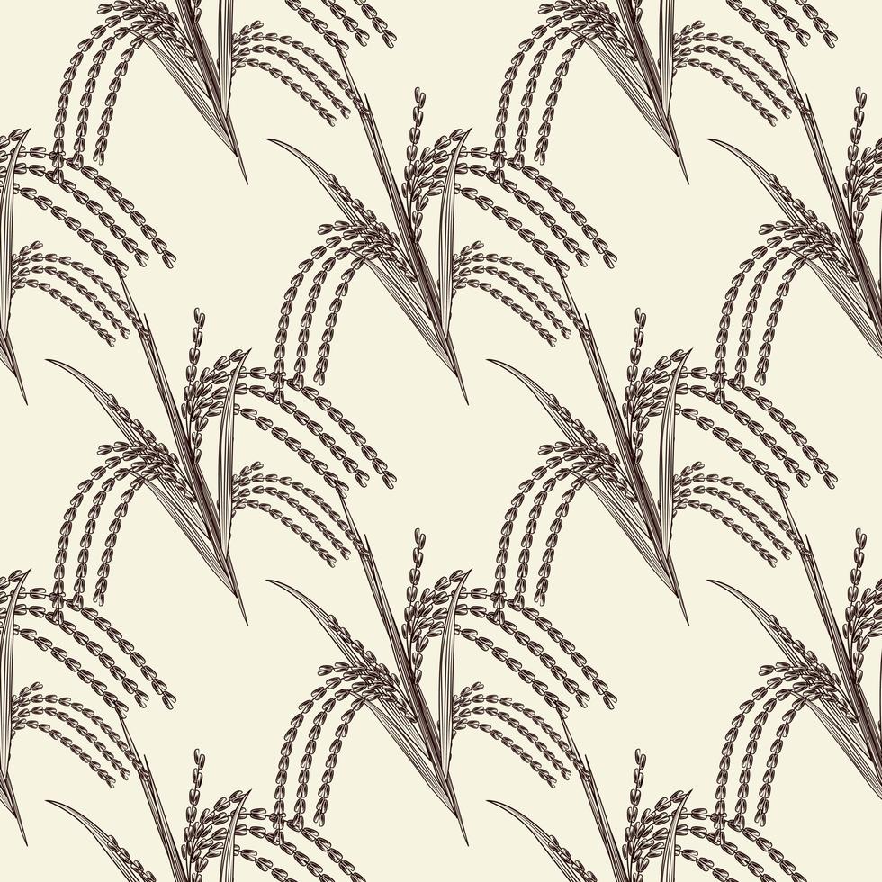 Hand drawn rice grain seamless pattern. Rice ear wallpaper. vector