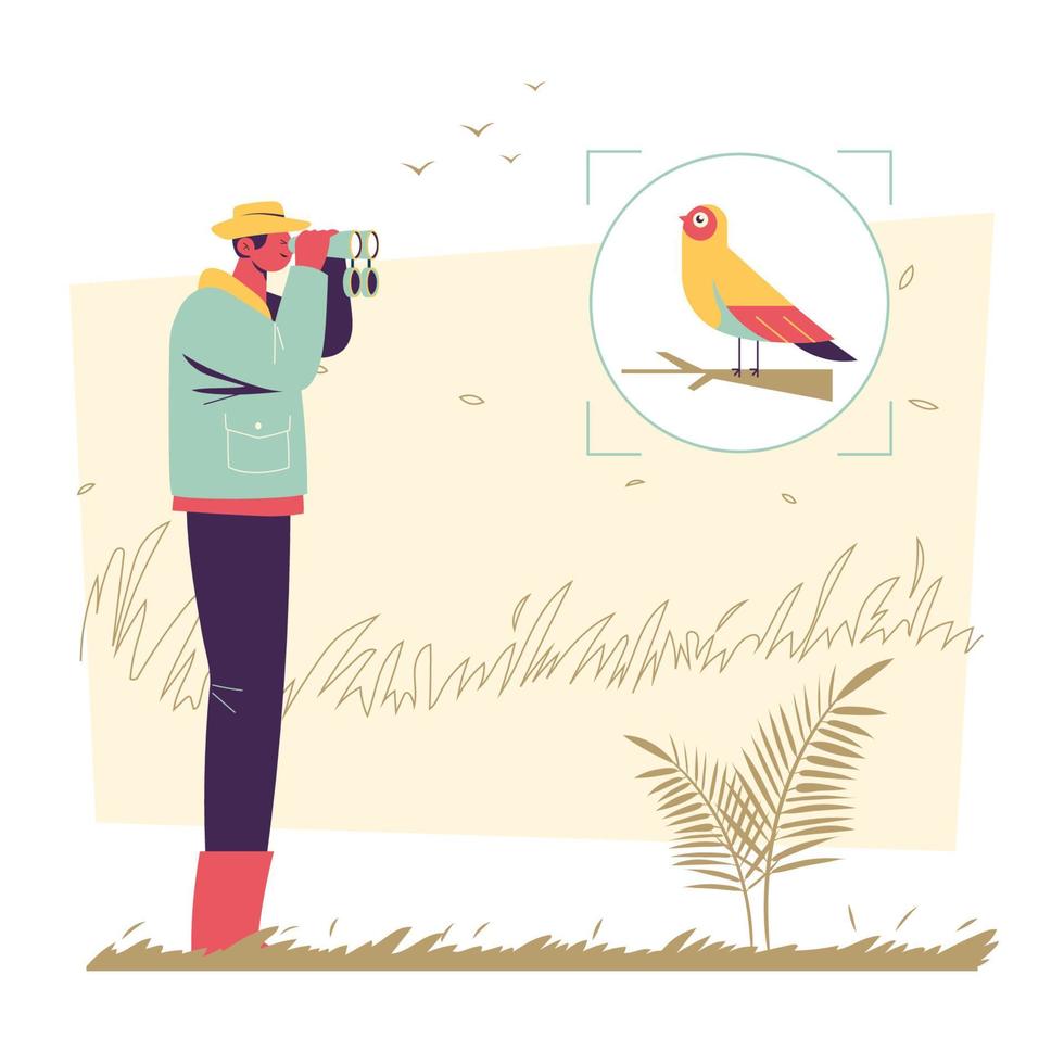 afición a la observación de aves vector