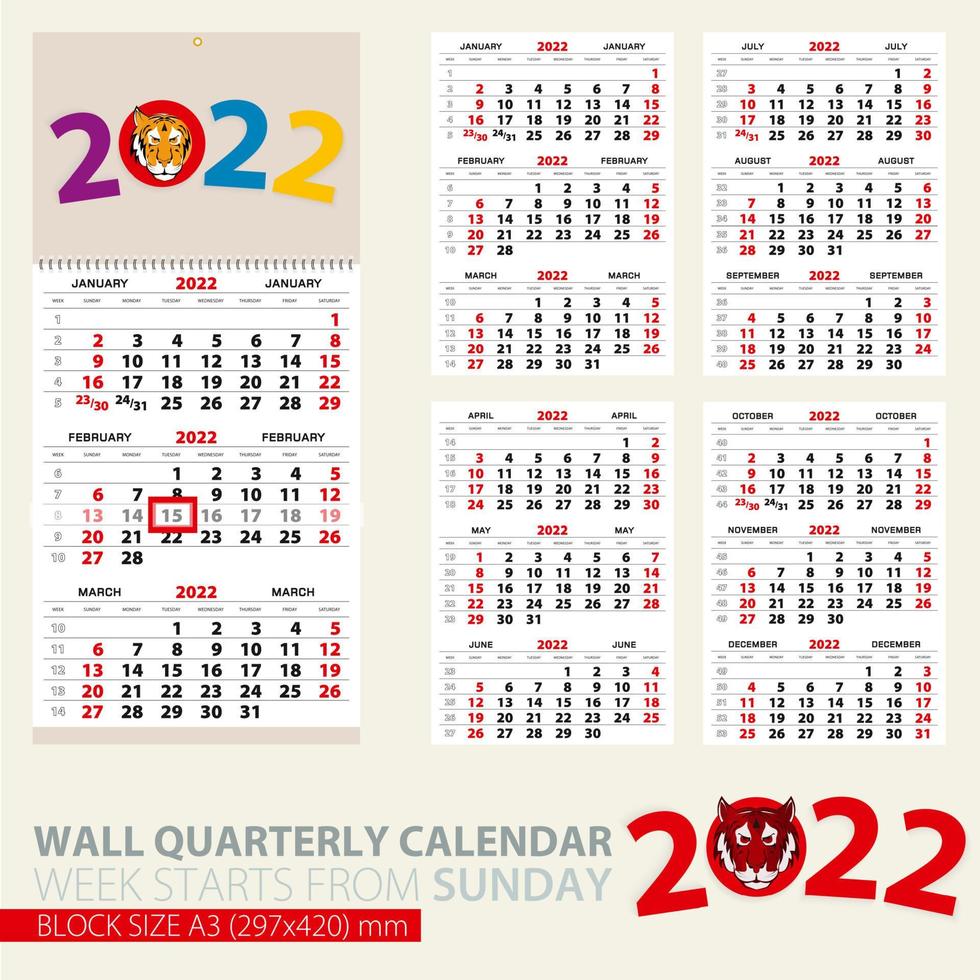 Print template of wall quarterly calendar for 2022 year. Year of the Tiger. vector