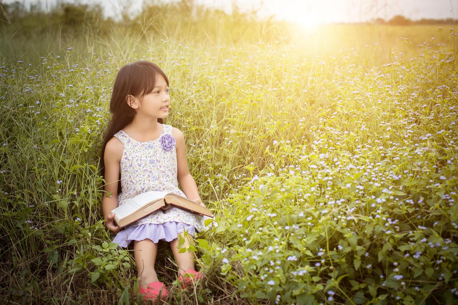 little cute asian girl reading book at nature. photo