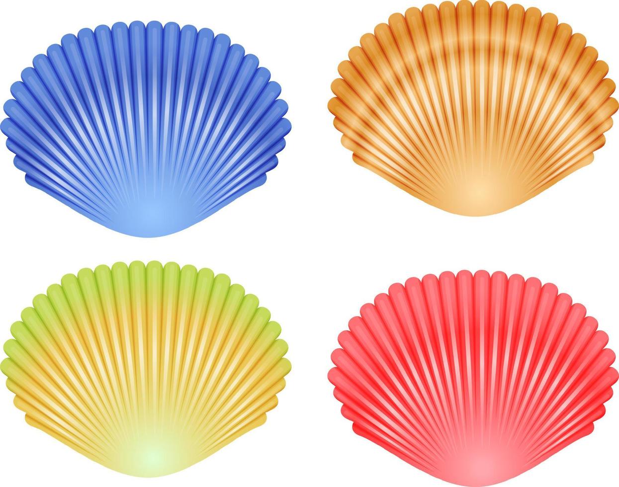 Seashell collection illustration vector