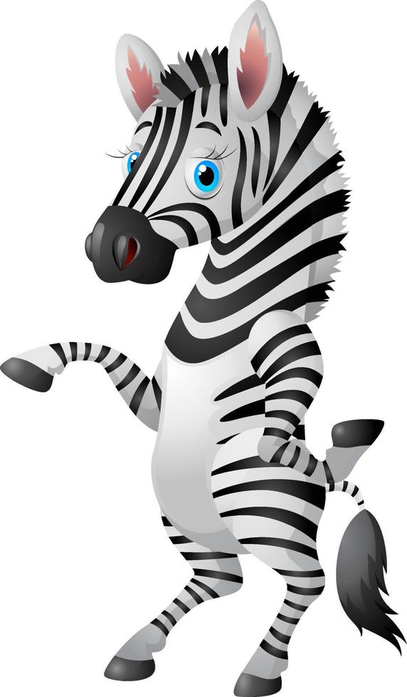 cool cartoon zebra vector