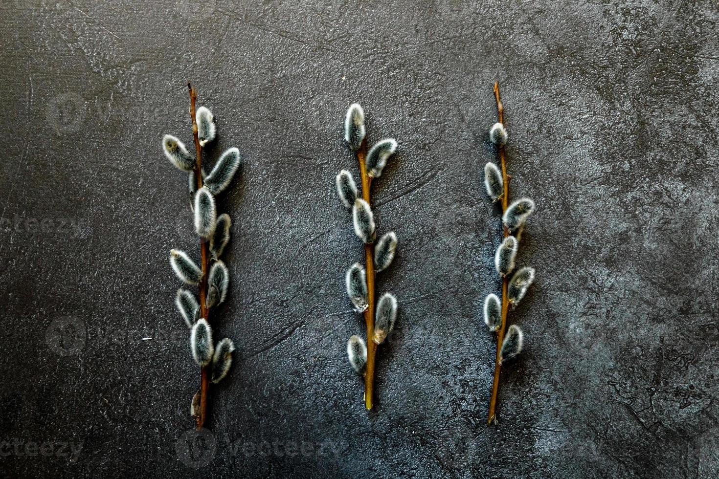 Happy Easter concept. Preparation for holiday. Pussy willow flowers branches on trendy grunge scratched dark black stone shale background. Simple minimalism flat lay top view, copy space photo