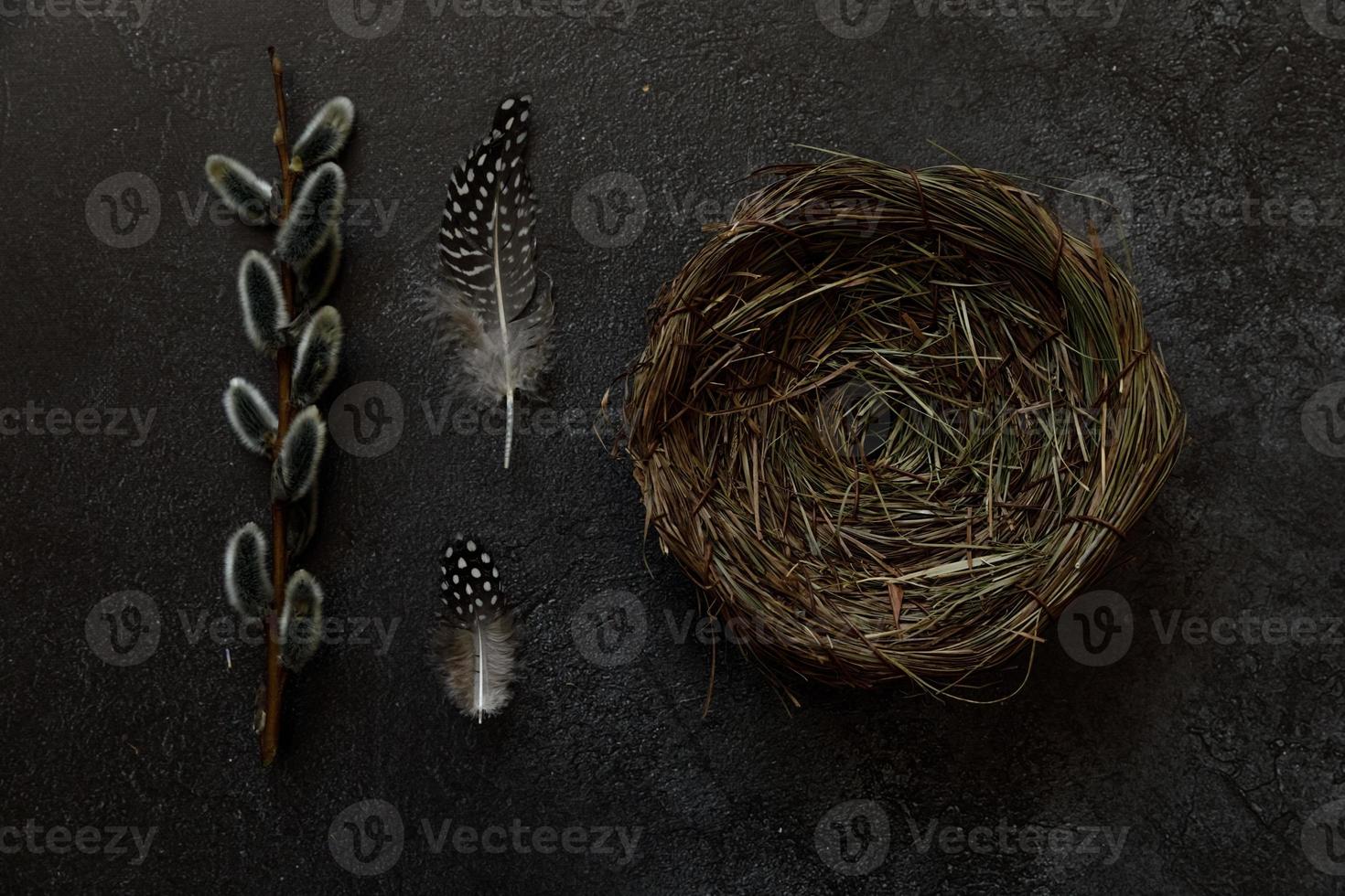 Happy Easter concept. Preparation for holiday. Pussy willow flowers branches, feather nest on trendy grunge scratched dark black stone shale background. Simple minimalism flat lay top view, copy space photo