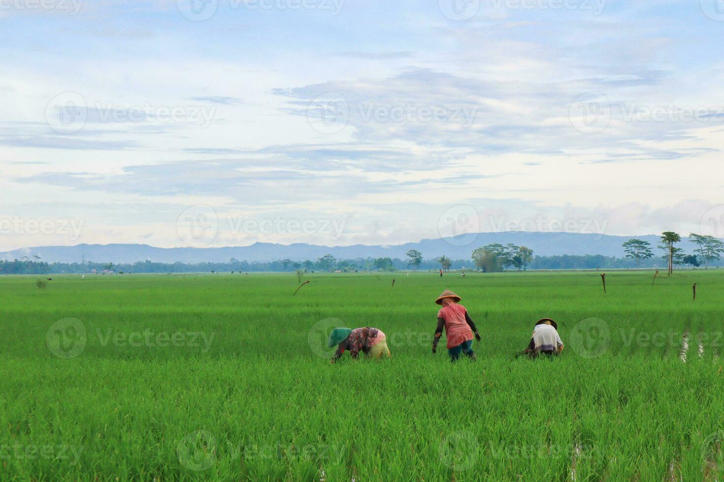 un hermoso paisaje por la mañana con cielo, montañas, colinas, campos de arroz y granjeros diligentes foto