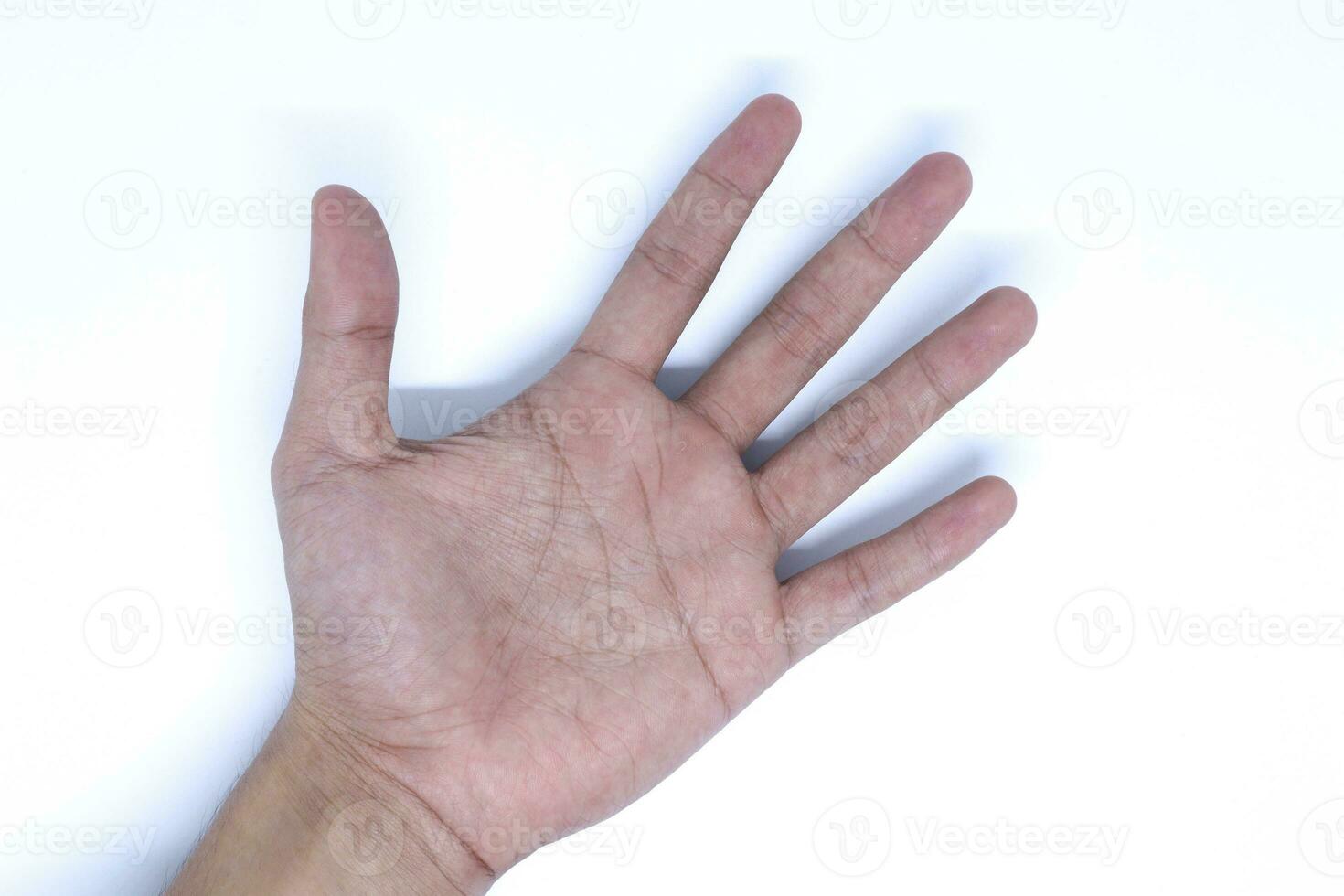 A Hand Palm in The Minimalist White Background with Flat Lay Shot, Landscape Mode photo