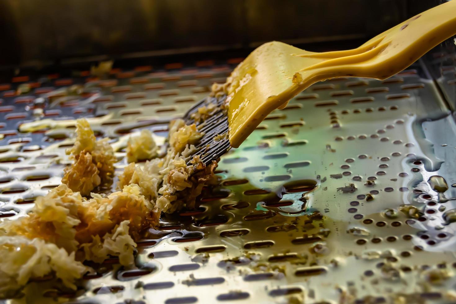 honeycomb from bee hive filled with golden honey photo