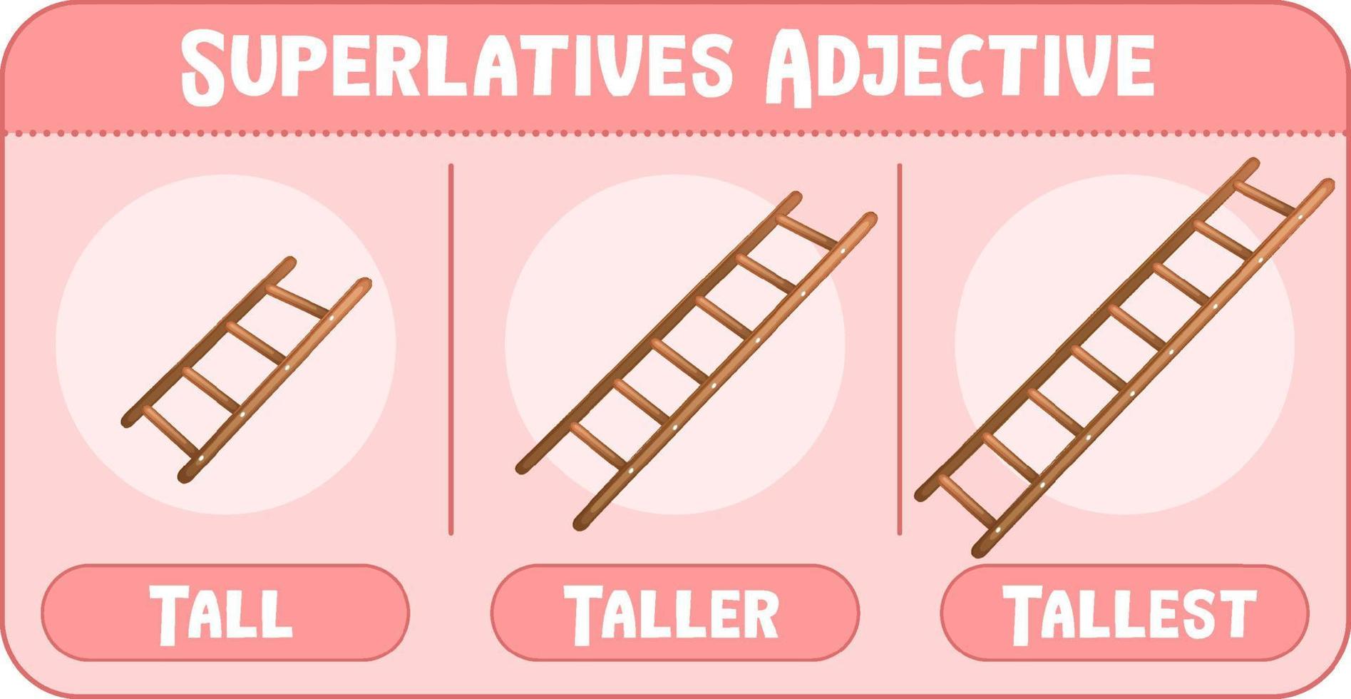 Superlatives Adjective for word tall vector