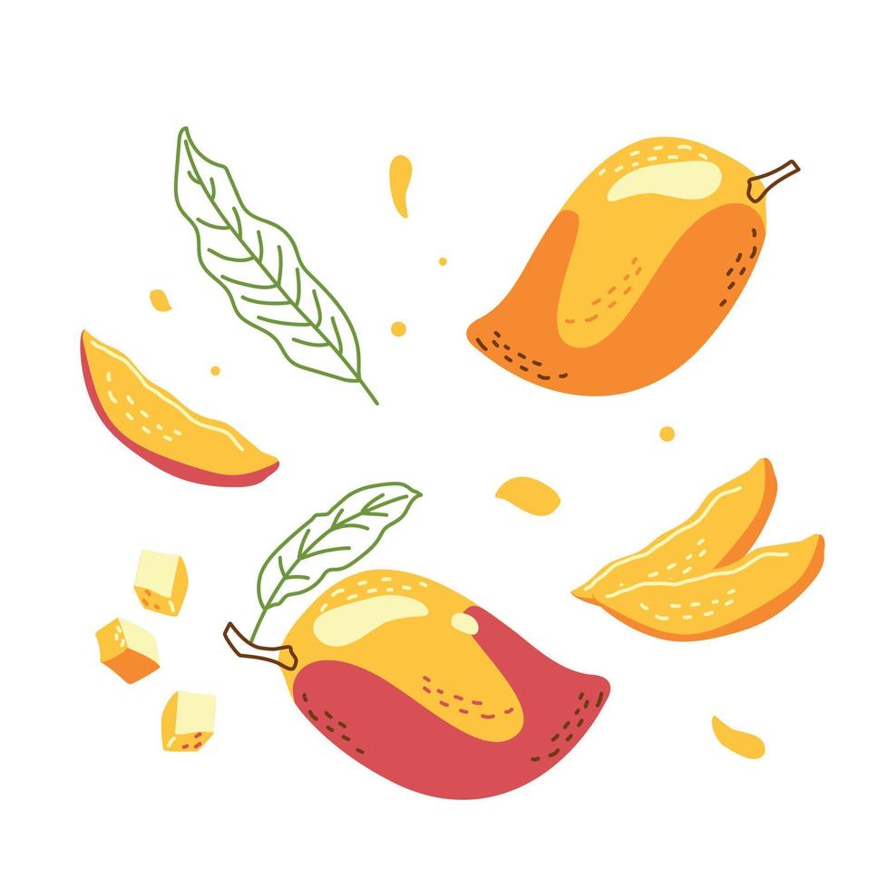 A collection of juicy mangoes, whole and cut into pieces vector