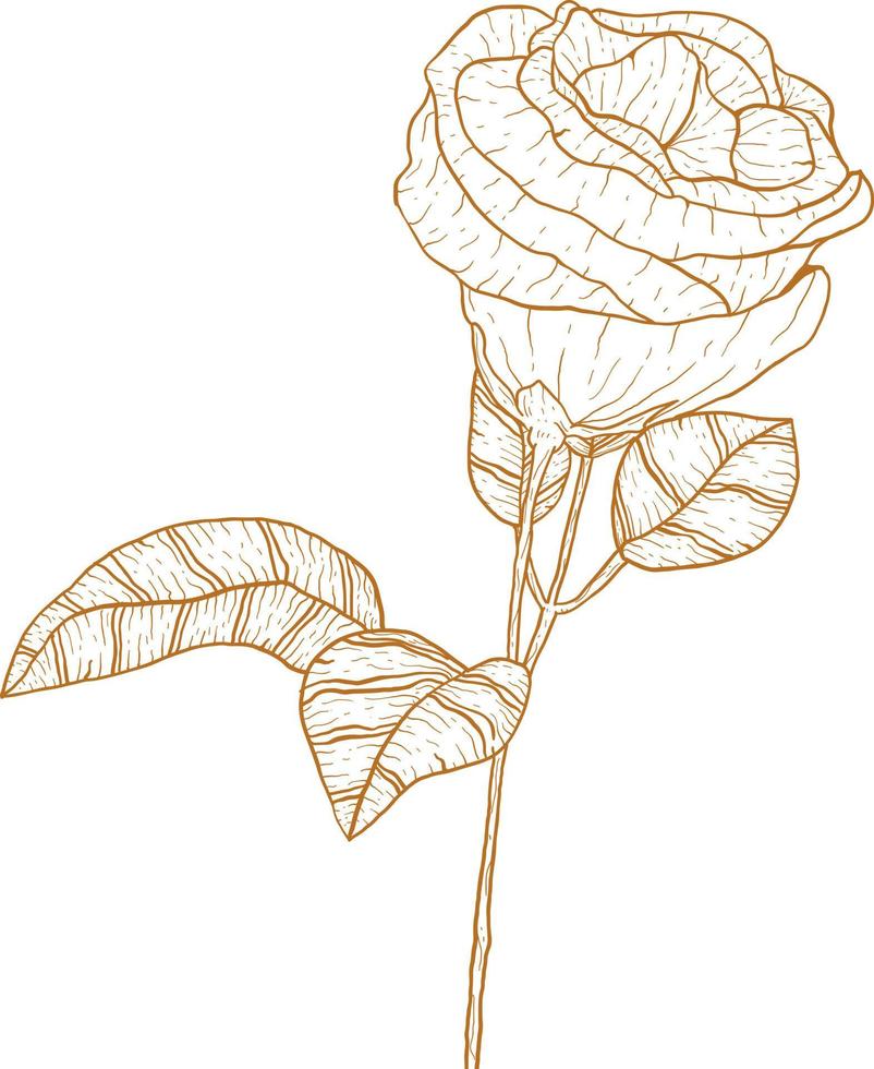 Flower Lineart in Vintage and Elegant Style vector