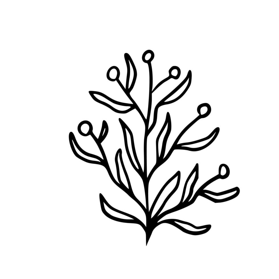 Botanical illustration. Fern, eucalyptus, boxwood. Vintage floral background. Vector design elements. Isolated. Black and white.