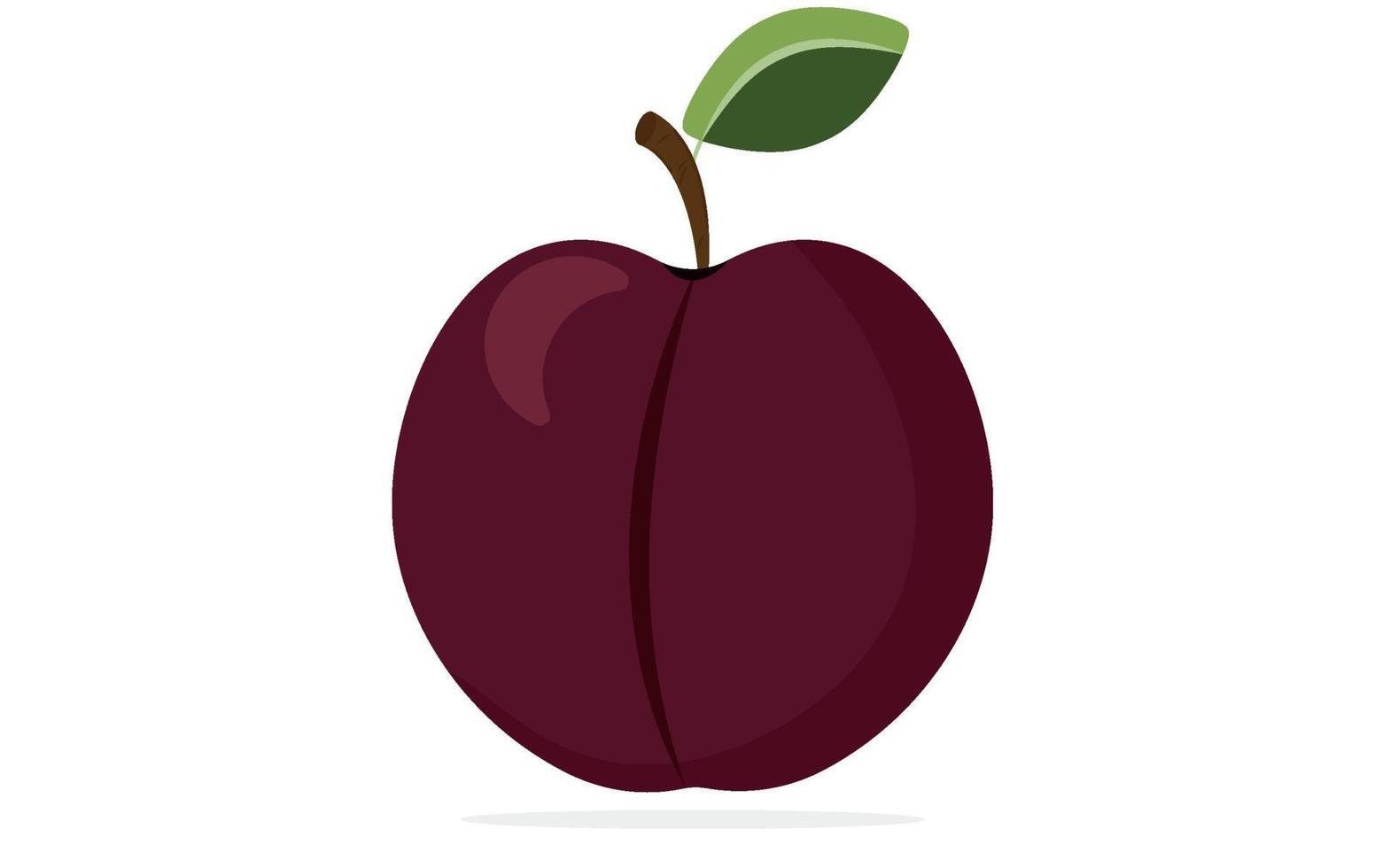 Plum on a white background is insulated.Whole healthy fruit. Vector illustration