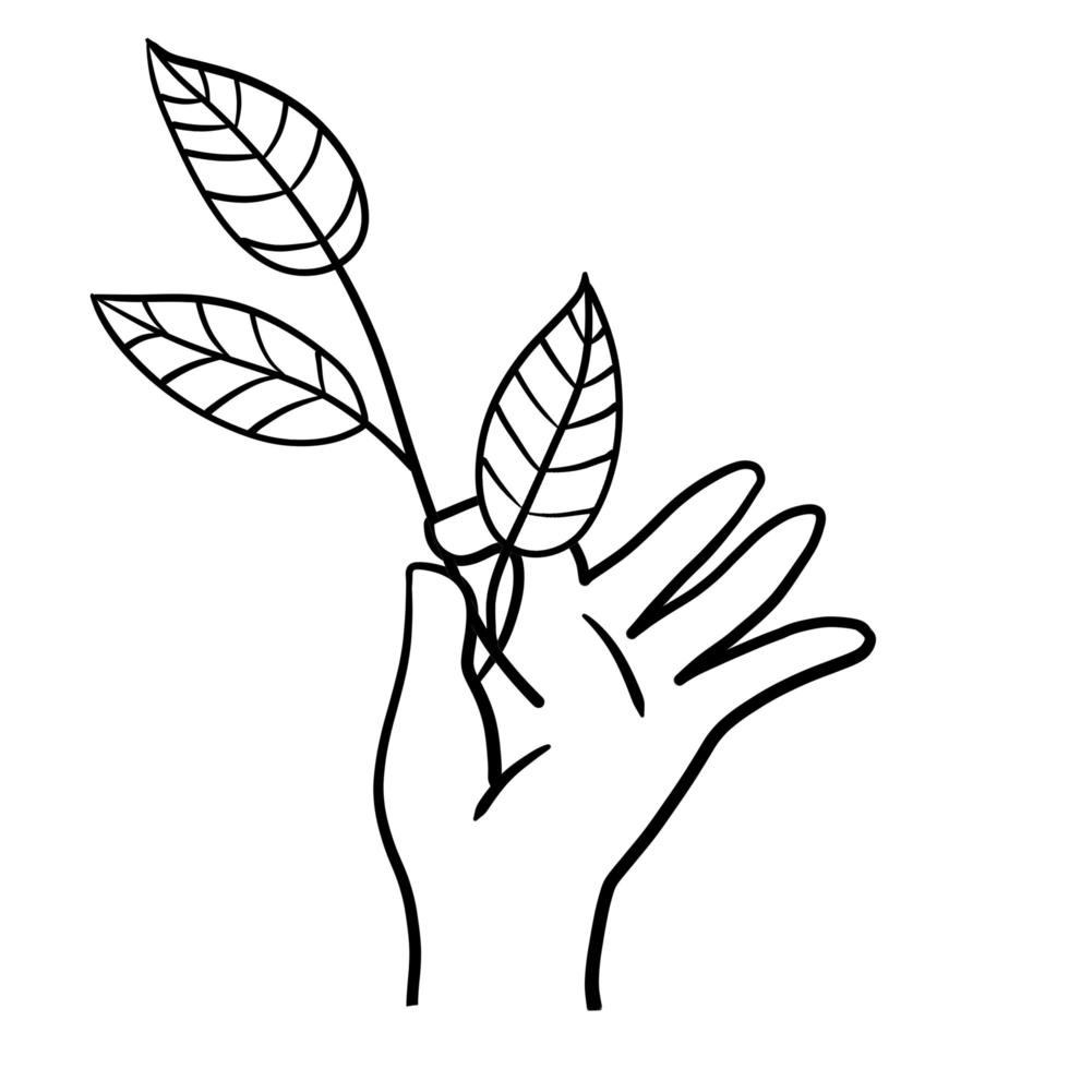 Hand with branch with leaves. Fresh Plant in palm vector