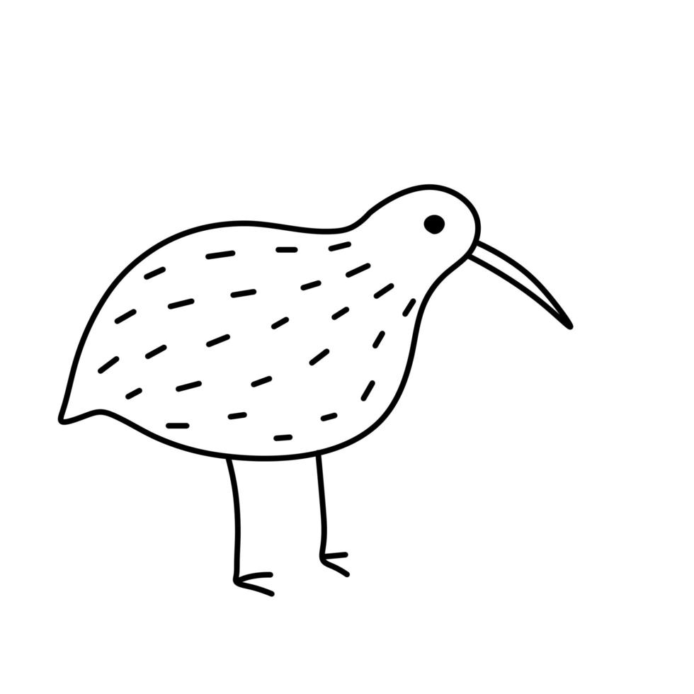 Kiwi bird. Rare Australian animal. Black and white sketch style. 5362196  Vector Art at Vecteezy