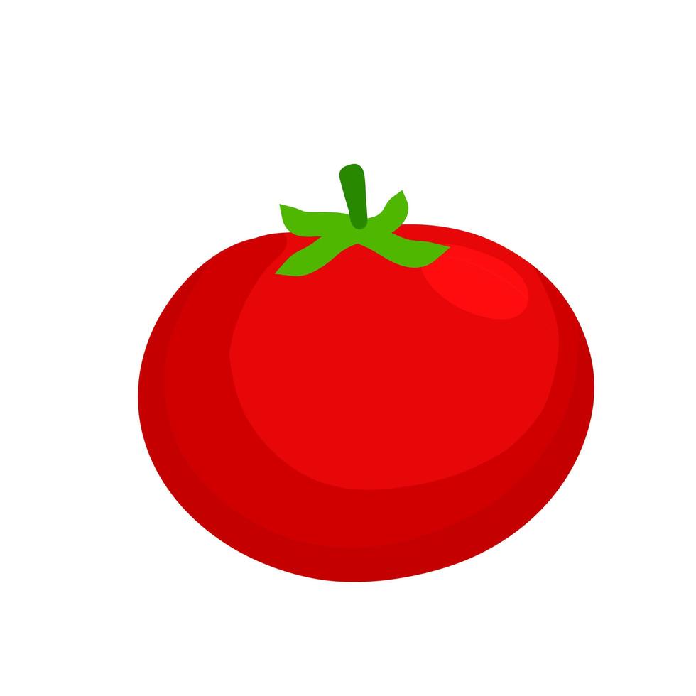 Tomato. Red vegetable. Harvest and vegetarian food. vector