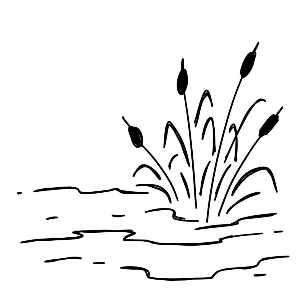 Doodle swamp. Sketch of natural pond vector