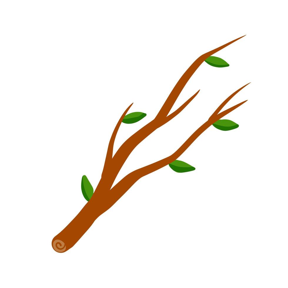 Tree branch with leaf on white background illustration. vector