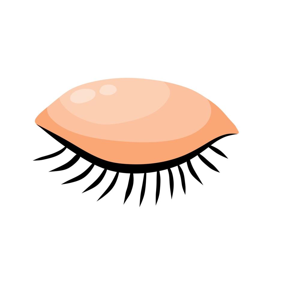 Closed eye. Detail of face. Eyelid with eyelashes. vector