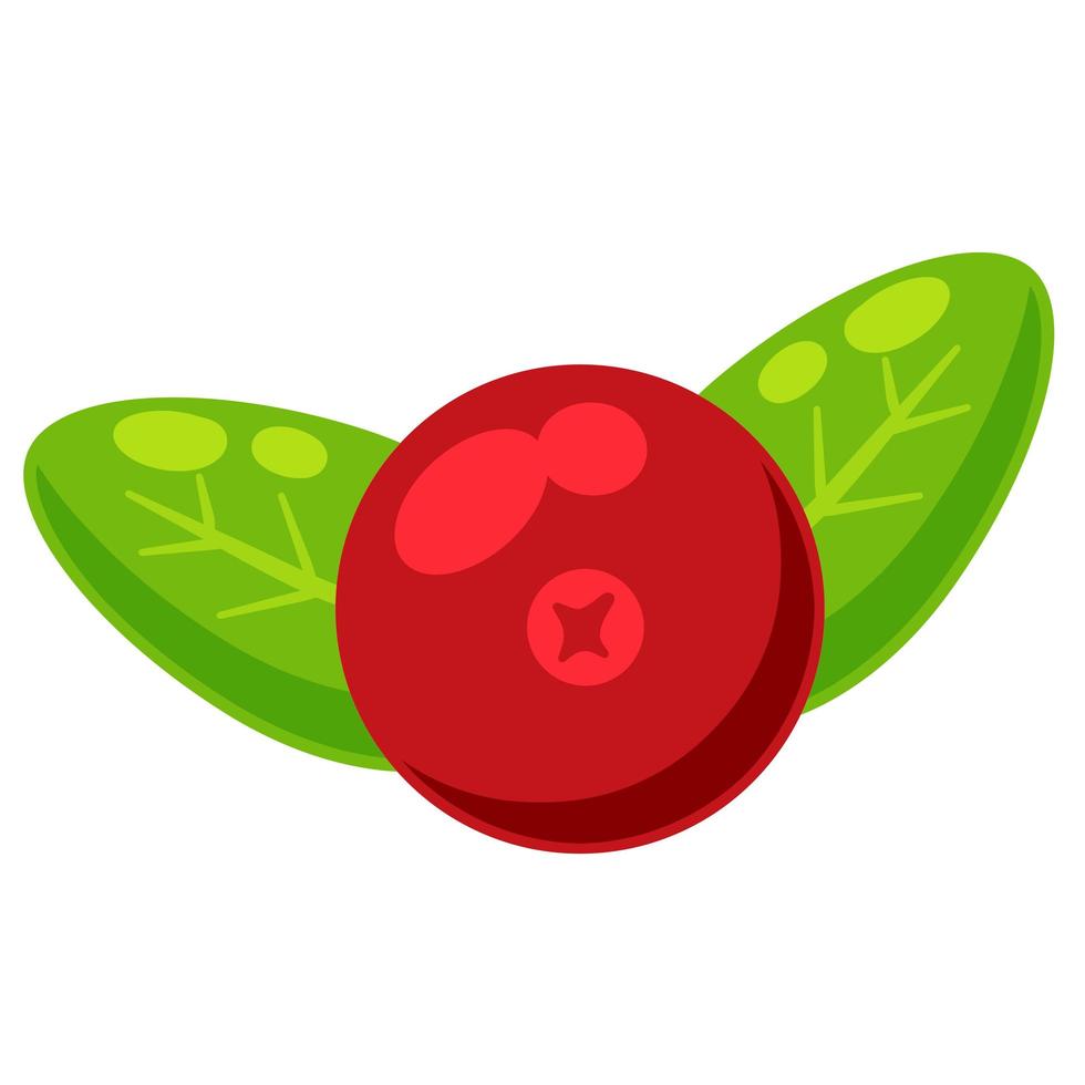 Red currant with green leaves. Cranberry berry. vector