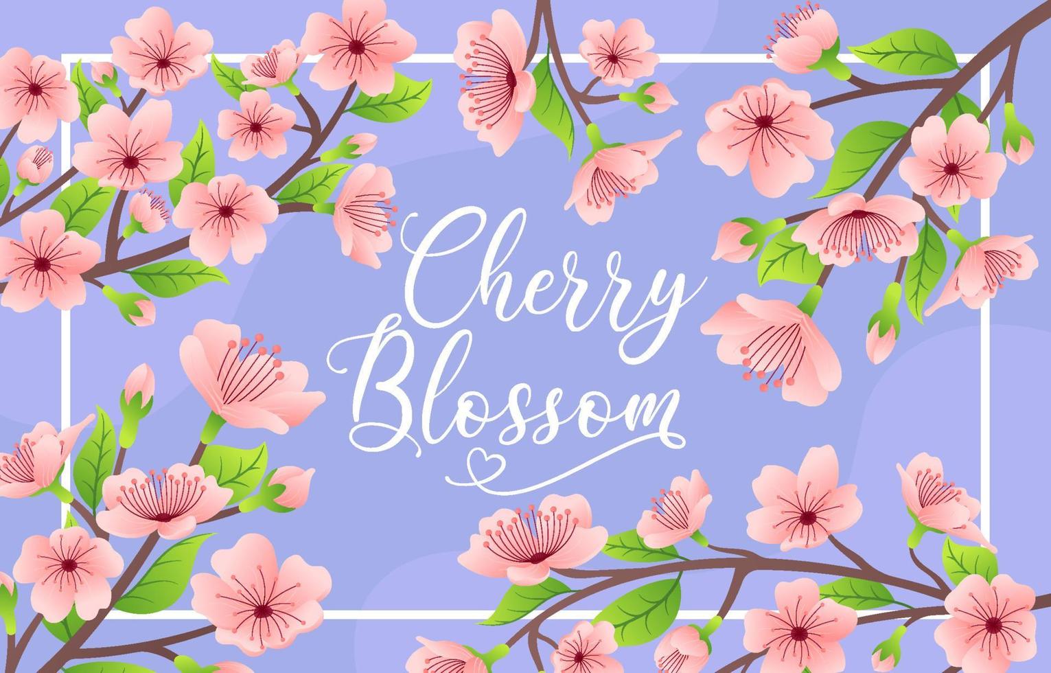 Spring Cherry Blossom Background vector