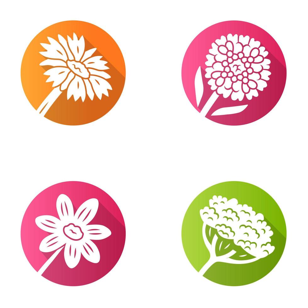 Wild flowers flat design long shadow glyph icons set. Cow parsnip, candytuft, coreopsis, blanket flower. Blooming wildflowers, weed. Spring blossom. Field, meadow plant. Vector silhouette illustration