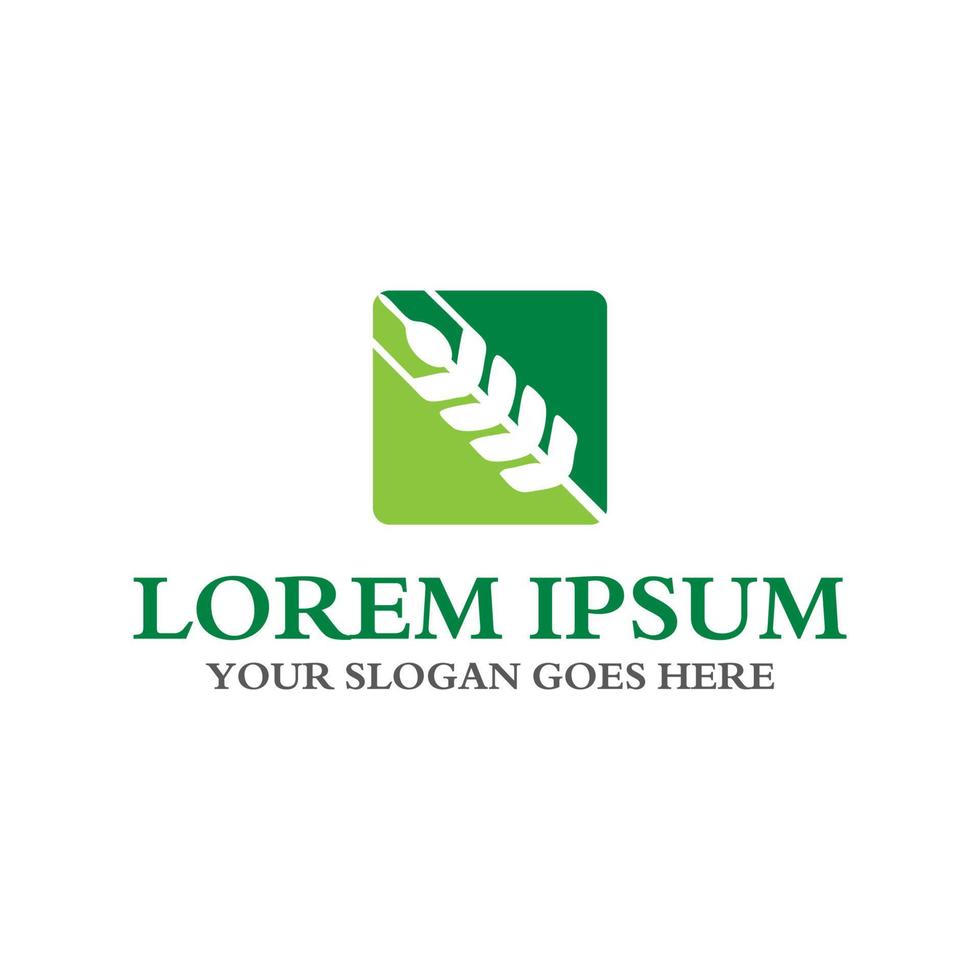 logotipo de grano, vector de logotipo de agricultura