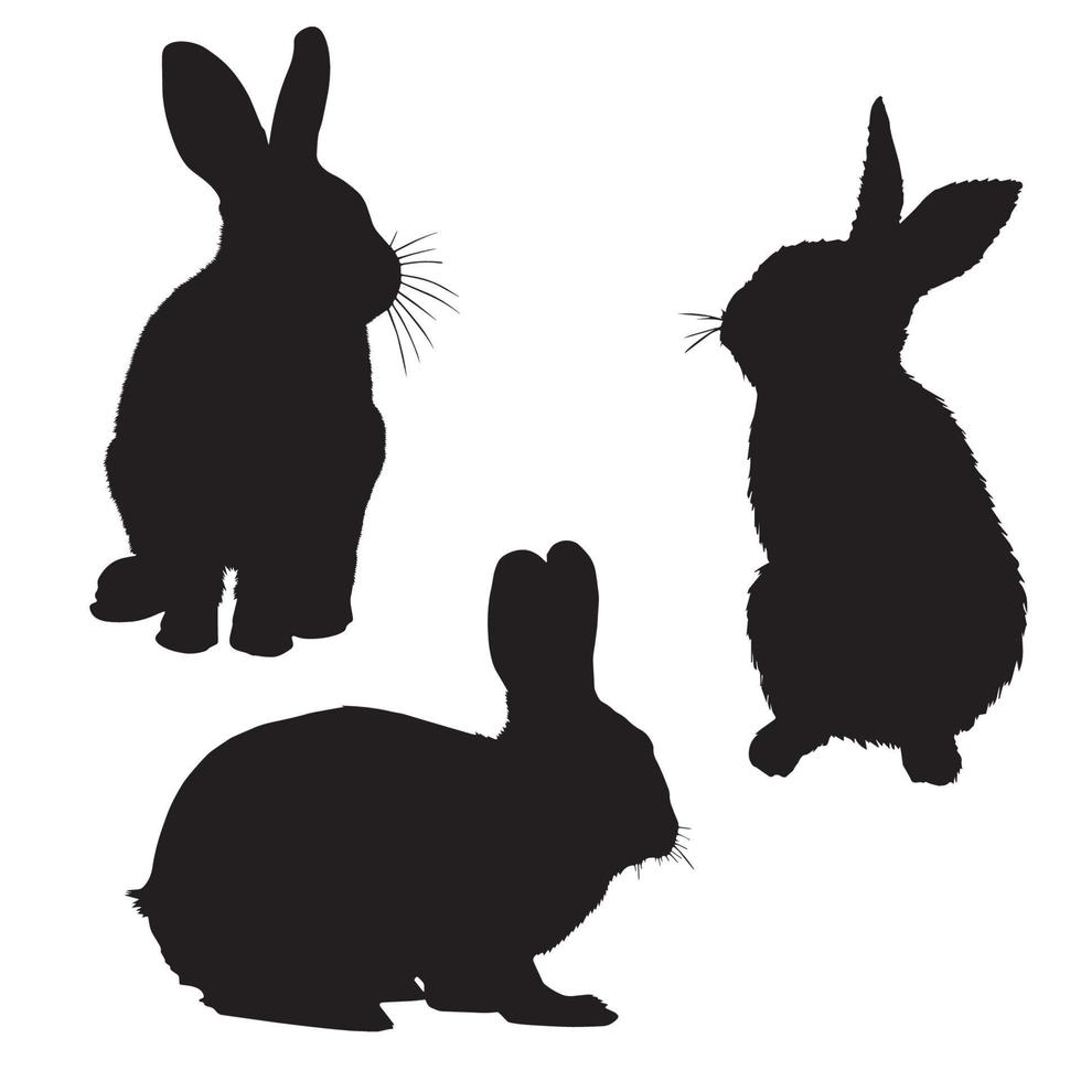 Rabbit Hair Silhouette vector