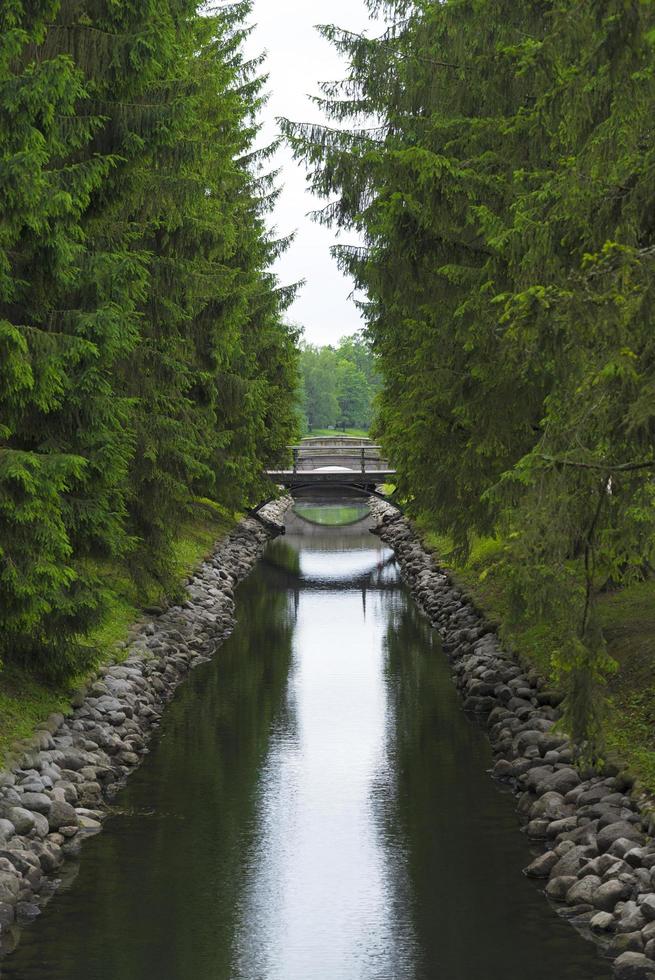 A small water channel with coniferous trees and a bridge. photo