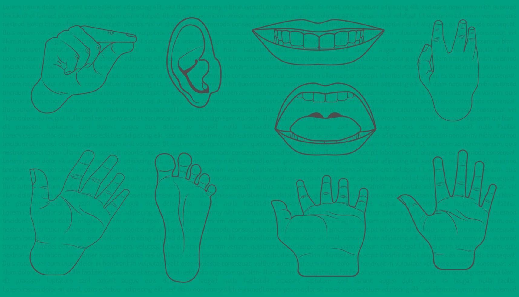 body parts is hand mouth foot ear element. doodle design style.  vector illustration eps10