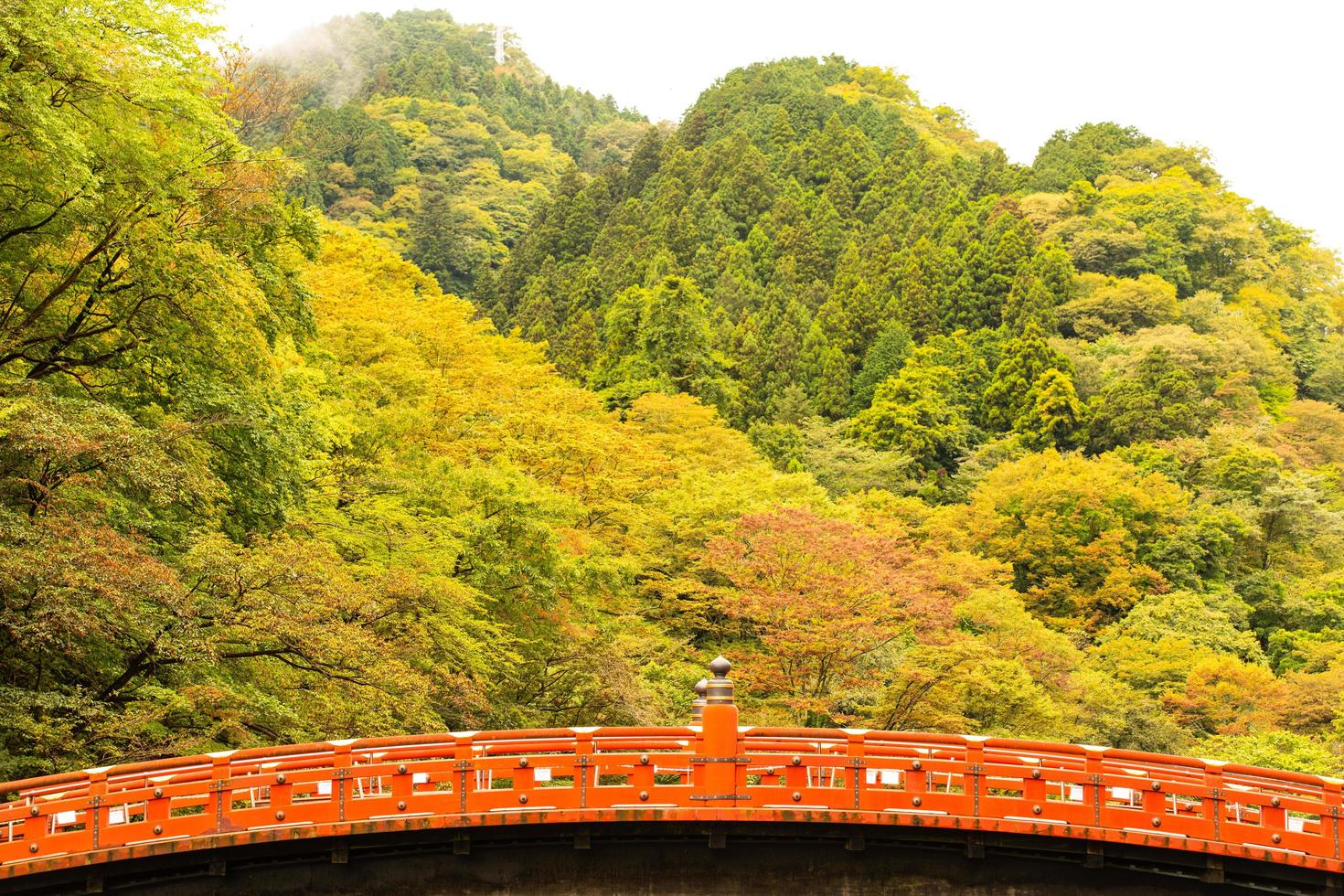 The Shinko Bridge during the autumn in Nikko, Japan, in the midst of nature in the autumn is changing colors. photo