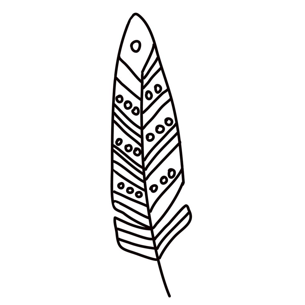 Doodle feather illustration isolated on white. Vector