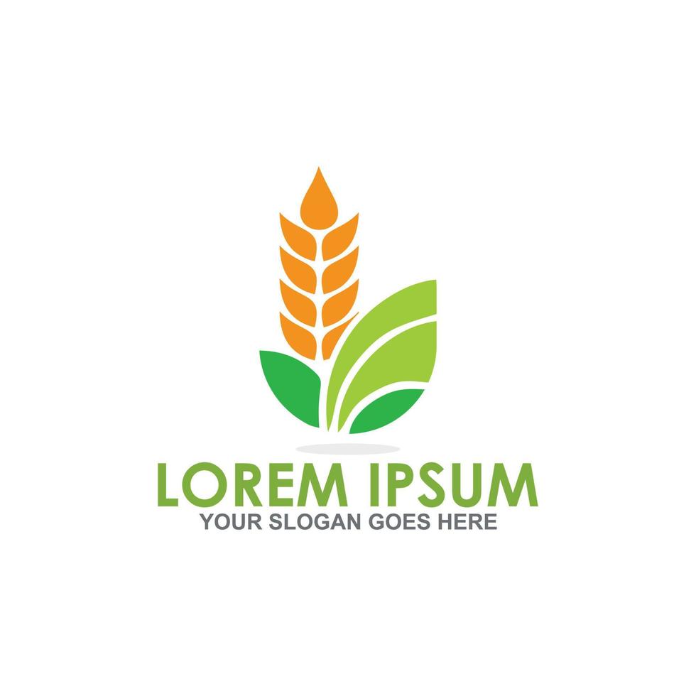 grain vector , agriculture logo vector