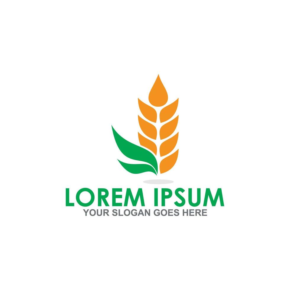grain vector , agriculture logo vector