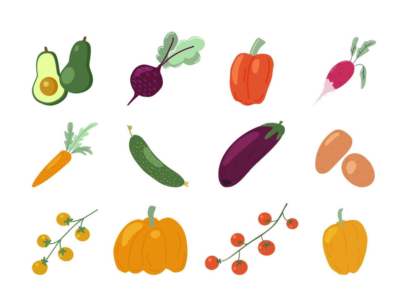Set of fresh juicy vegetables from local farm. Harvest of pumpkins, beet, carrot, tomato, potato, radish, bell pepper, cucumber, avocado and eggplant. Flat vector illustration