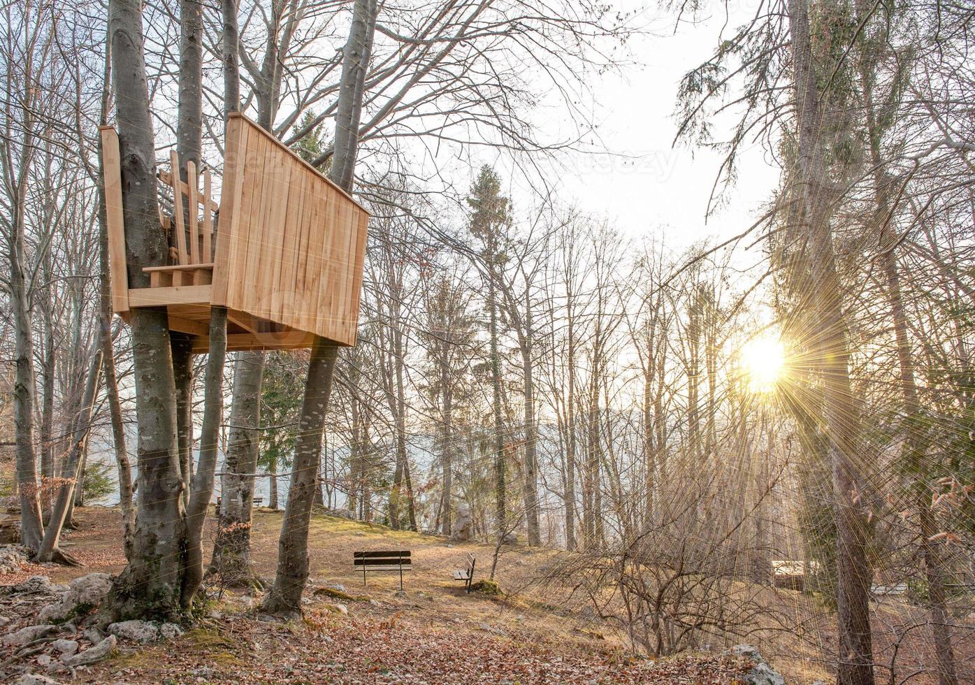 House built on tree photo