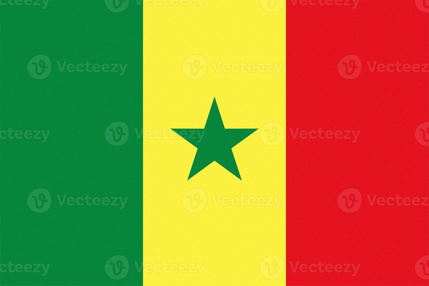 texturized Senegalese Flag of Senegal photo