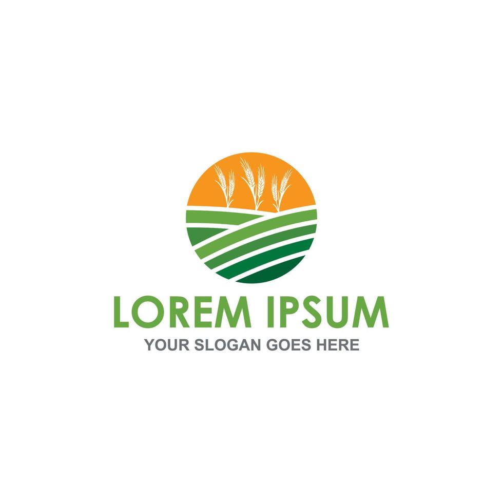 farm wheat vector , agriculture logo