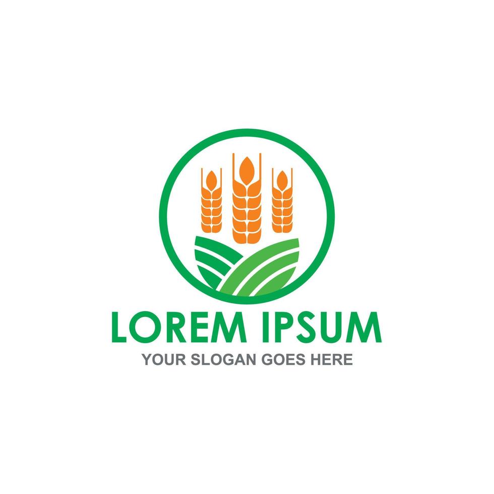grain vector , agriculture logo vector
