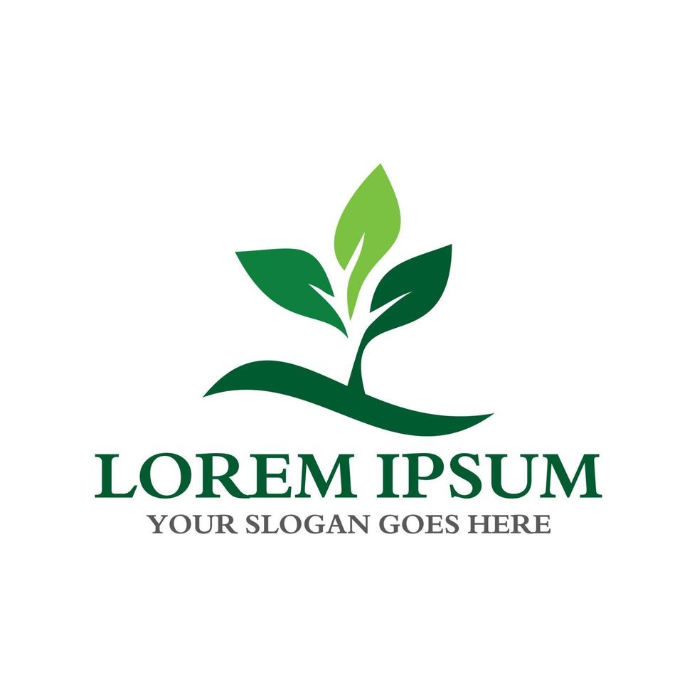 leaf logo , environment logo vector