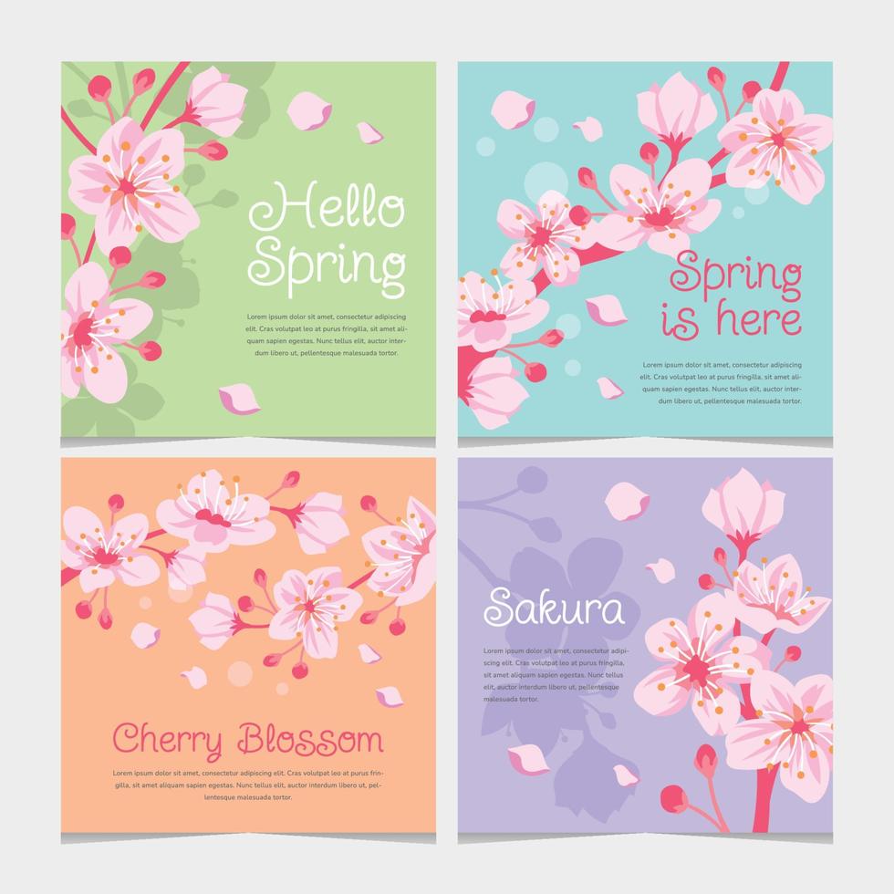 publicación de instagram de flor de cerezo de primavera vector