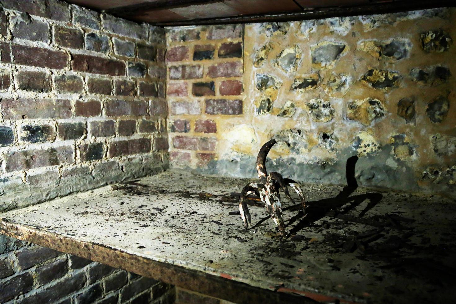 Very ancient bottles of wine lies in retro dark cellar photo