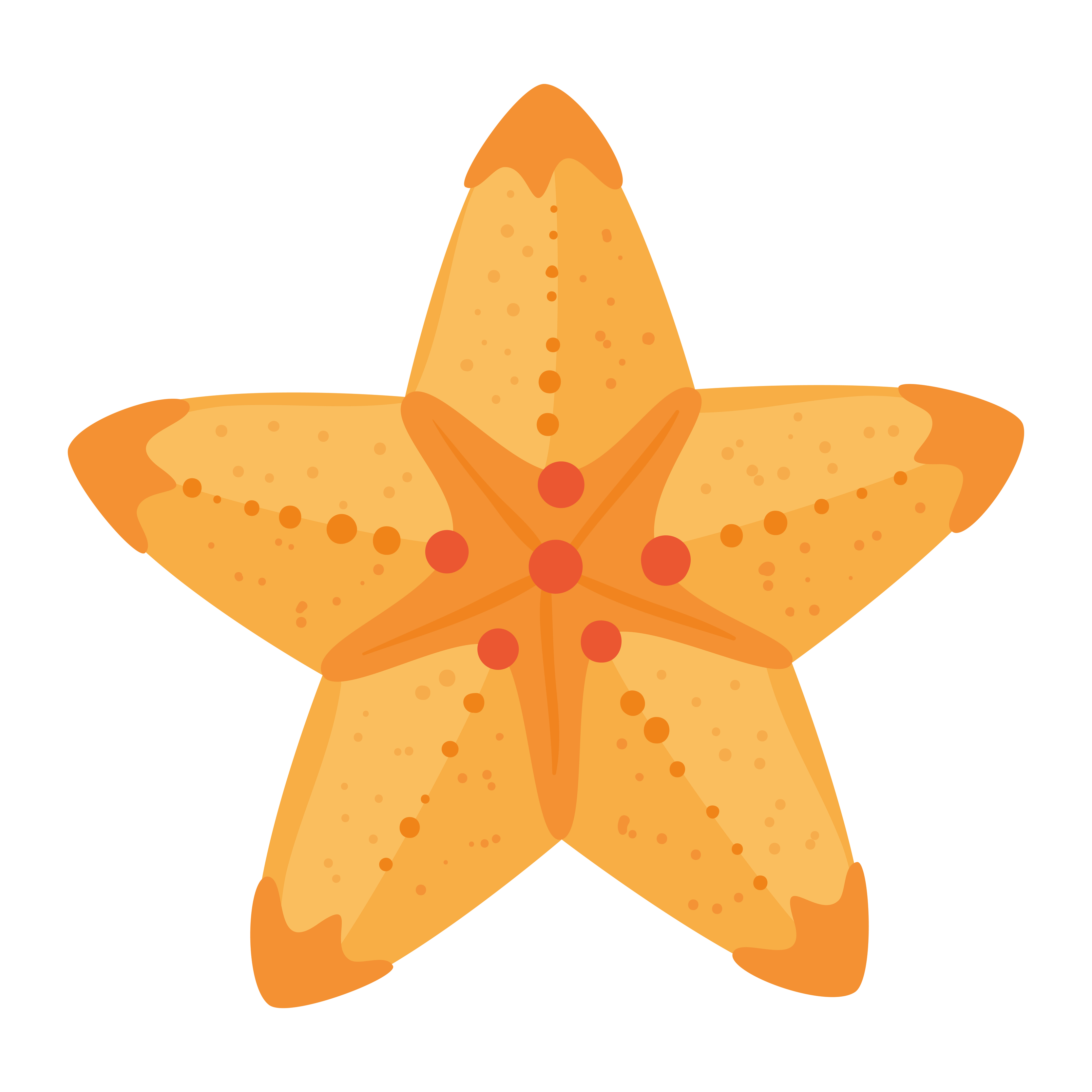 flower orange color, spring concept on white background 5374763 Vector