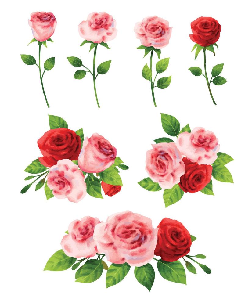 Pink rose flower set for valentines day in watercolor style. vector