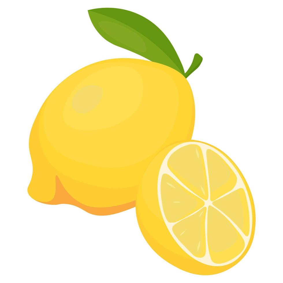 Lemon whole and half. vector