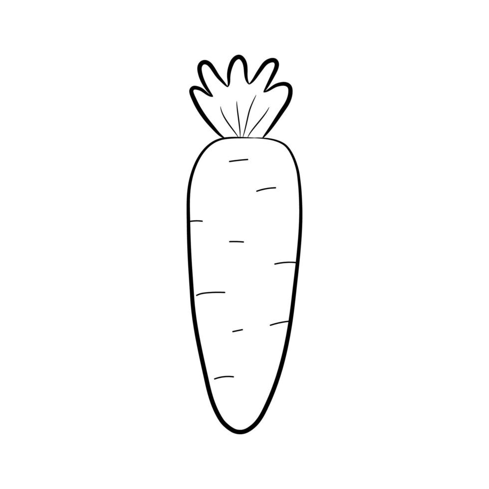 Simple hand drawn carrot isolated on white background. Doodle style. Vector illustration
