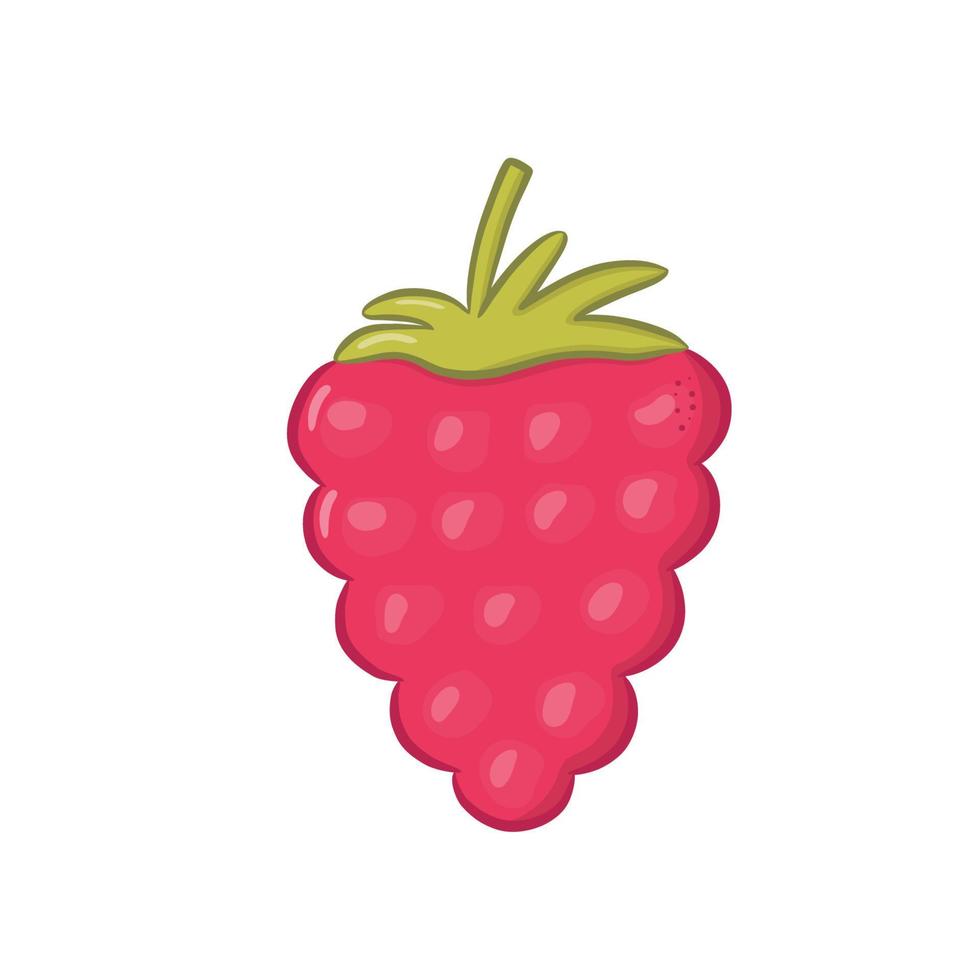 Colorful cute raspberry isolated on white background. Healthy dessert. Vector illustration