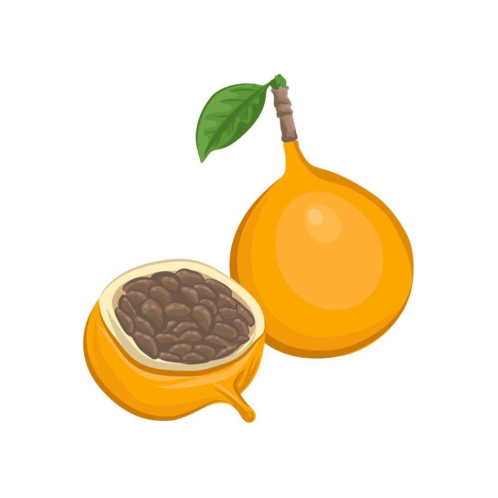 Ilustración de vector de boceto de fruta de granadilla dulce.