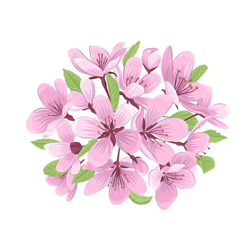 Ilustración de vector de ramo de flor de cerezo.