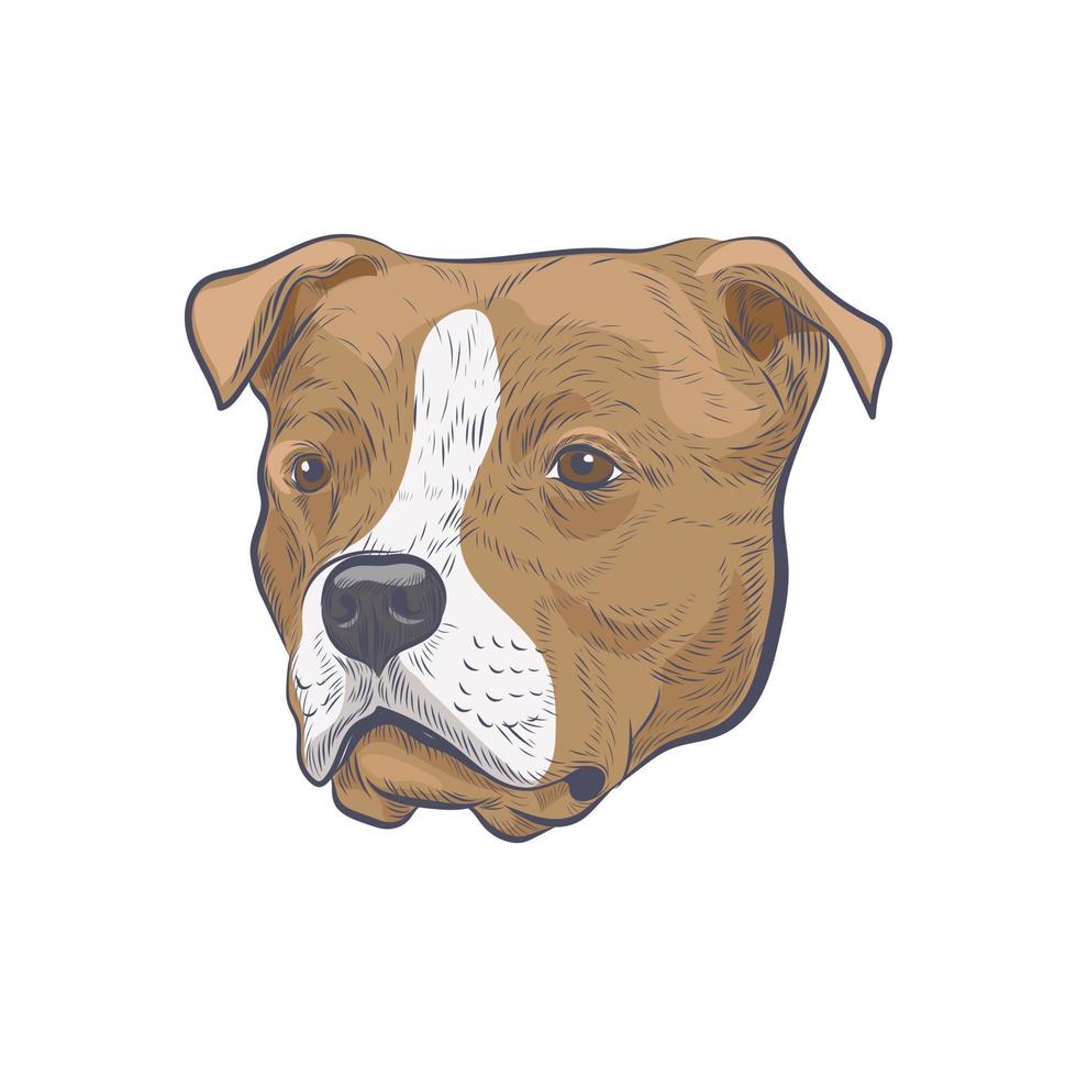 boceto vectorial dibujado a mano con cabeza de perro amstaff. vector