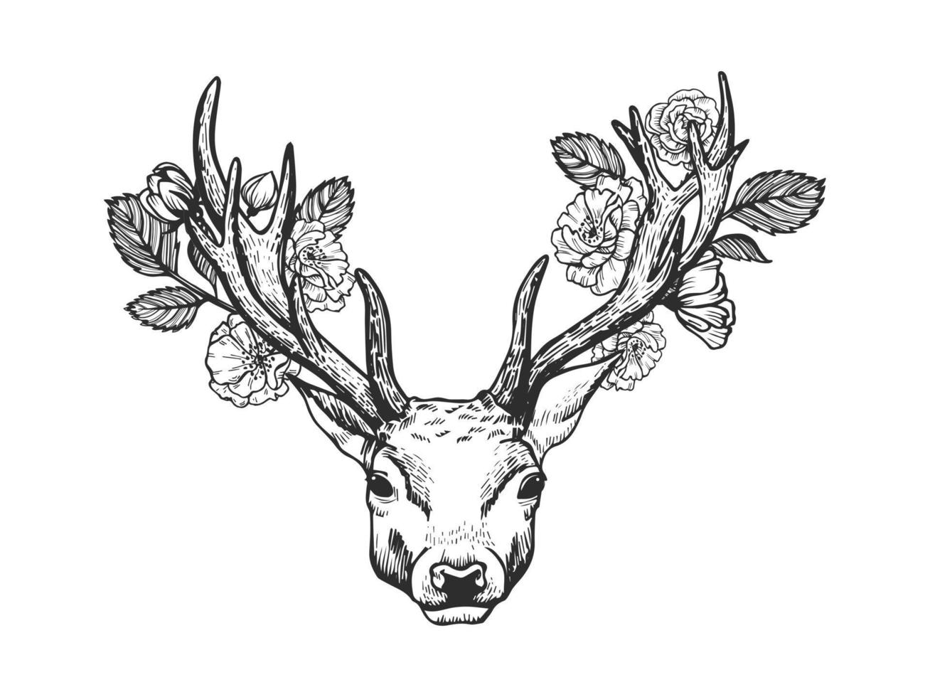 cabeza de ciervo decorada con boceto vectorial de rosas para su diseño. vector